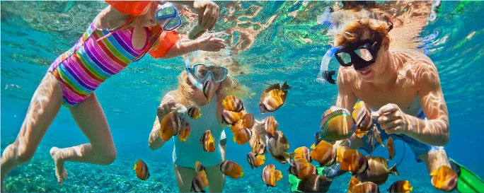 comprar snorkel Tabarca